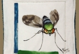 © Bev Mazurick - Condylostylid long legged fly