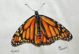 © Bev Mazurick - Monarch Butterfly