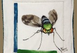 © Bev Mazurick - Condylostylid long legged fly