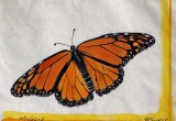 © Bev Mazurick - Monarch Butterfly 2