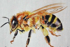 © Bev Mazurick - Honey Bee