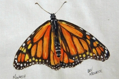 © Bev Mazurick - Monarch Butterfly