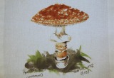 © Bev Mazurick - Panther Amanita