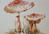 © Bev Mazurick - Reddening Lepiota