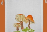 © Bev Mazurick - Velvet Stemmed Flammulina