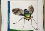 © Bev Mazurick - Condylostylid long legged fly