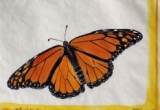 © Bev Mazurick - Monarch Butterfly 2