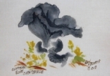 © Bev Mazurick - Clustered Blue Chanterelle
