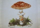 © Bev Mazurick - Panther Amanita