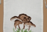 © Bev Mazurick - Silky Entoloma