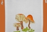 © Bev Mazurick - Velvet Stemmed Flammulina